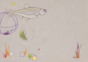 Floating, 2014 (akvarellpenna och bladguld på papper)