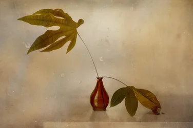 Stilleben med gyllene blad