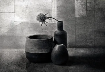 Moody Thistle-fartyg