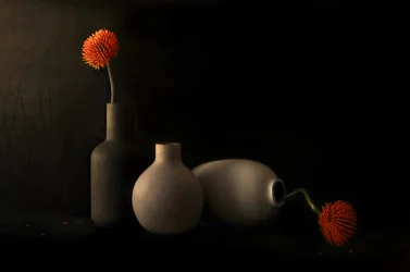 Stilleben med apelsinblommor