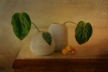 Ett stillsamt botaniskt arrangemang