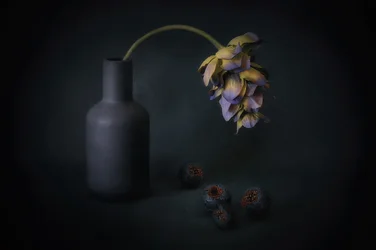 Skuggad blomma och bär