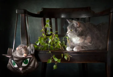 Den nyfikna katten och råttan