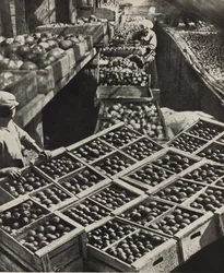 Red Gardener kollektivgård. Illustration från USSR Builds Socialism, 1933.
