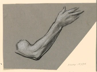 Studie av arm