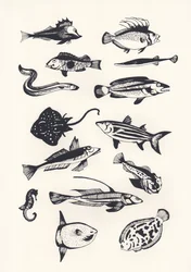 Monotone Plain Fish, 2015 (screenprint)