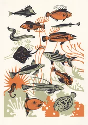 Orange Seaweed Fish, 2015 (screenprint)