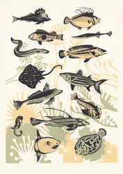 Peach Seaweed Fish, 2015 (screenprint)
