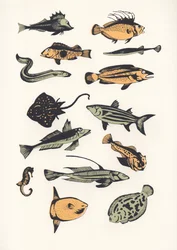 Plain Fish, 2015 (screenprint)