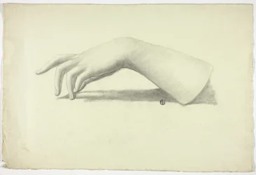 Vänster underarm och hand