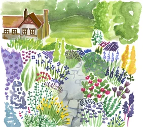 English Country Garden, 2018 (akvarell)