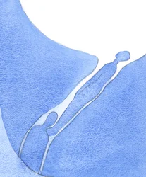 Den smärtsamma reningen som själar genomgår i detta liv (om de samtycker) är som skärseldens smärtor, före "födelse" till himlen, 2002 (w/c på papper)