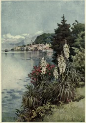 A Group of Yuccas, Villa Melzi, Lago di Como, Illustration från "The Italian Lakes" av Richard Bagot