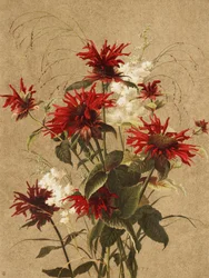 Balm och Spiraea Av Ellen Thayer Fisher