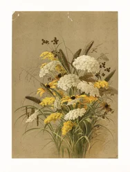 Hemlock, prästkrage och gulsporre