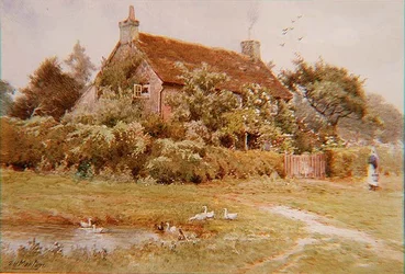 En kvinna och ankor nära en stuga på sommaren