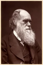 Charles Darwin: engelsk naturforskare