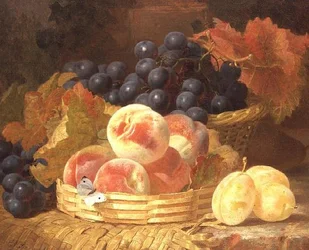 Stilleben med frukt och en fjäril