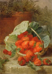 Jordgubbar i ett kålblad, 1891