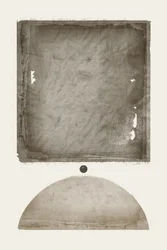 Forntida sepiaformer