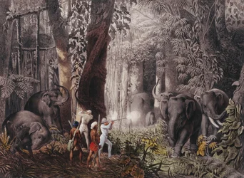 Resa... i Ostindien, Ceylon, Java, Kina och Bengalen