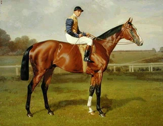 "Spearmint", vinnare av 1906 års Derby, 1906