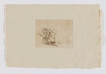 Connecticut Hillside (fm-portfölj)