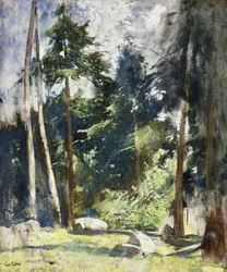 Tall Pines