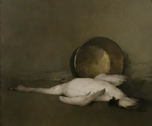 Den vilda svanen, 1902