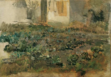 Turnip Field, ca 1888 (olja på duk)