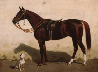 Sadlad räv med hund