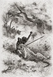 En leopard som attackerar en afrikan, illustration från 