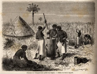 Kvinnor som slår sorghum, i ounyamoezi (regionen vid de stora sjöarna, Afrika), teckning av Emile Bayard (1837-1891), som illustrerar kapten Spekes upptäcktsresa i Afrika från 1860 till 1863. Gravyr i "" Le tour du monde"", redigerad av Edouard Charton