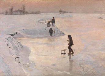 Kungsfiskarna