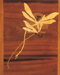 Sländor, detalj från skåp i jugendstil, ca 1900, av Emile Galle (1846-1904), snidad och inlagd valnöt, Frankrike, 1900-talet