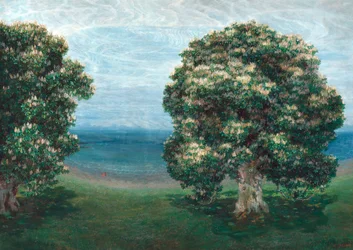 Blommande kastanjer