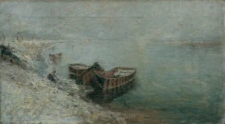 Fiskebåtar på Donaus strand