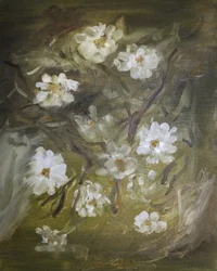 Mjuka vita blommor