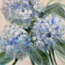 Blå hortensia i blom