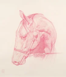 Porträtthuvud, 2010 (röd krita på papper)