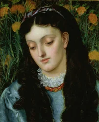 Den vackra vallblomman