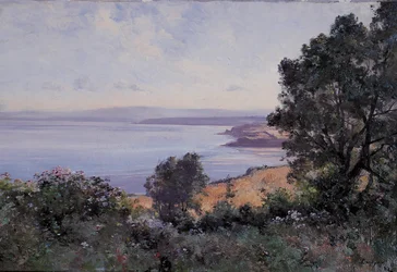 Douarnenez vete och träd i sikte