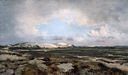 I sanddynerna, 1881