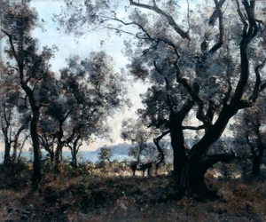 Olivträd runt Cap Martin, 1891.