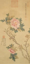 Peony, Qingdynastin (bläck och färg på siden)