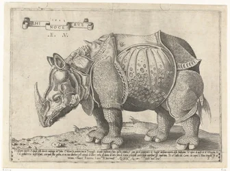Neushoorn Noshörning (titel på objekt)