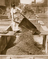 Hjälpkamrater hemma för hjältar utomlands, 1914-19 bw foto)