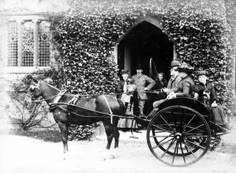 Häst och fälla, ca 1890