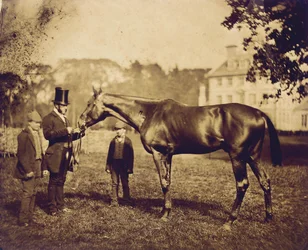 Wild Dayrell, vinnare av Derbyt 1856