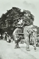 Zoological Gardens, Regents Park: elefantridning, London, ca 1895